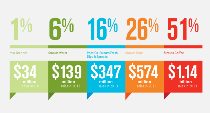 Strauss Group sales by company, 2013
